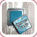 Ranger  Tim Holtz Distress Oxide Ink Pad Broken China