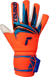 Reusch Attrakt Gold X NC Junior