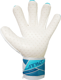 Reusch Attrakt SpeedBump white/light blue