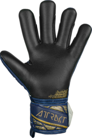 Reusch Attrakt Freegel Silver Premium Blue / Gold / Black