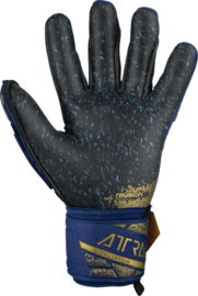 Reusch Attrakt Freegel Fusion Goaliator premium blue/gold/black