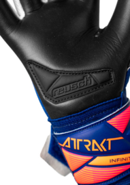 Reusch Attrakt Infinity Evolution NC Junior