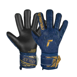 Reusch Attrakt Freegel Silver Premium Blue / Gold / Black