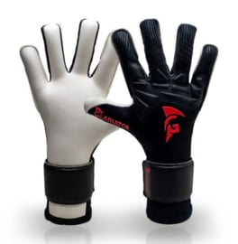 Gladiator Sports Superstore