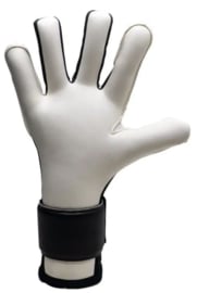 Gladiator Sports Advanced Pro