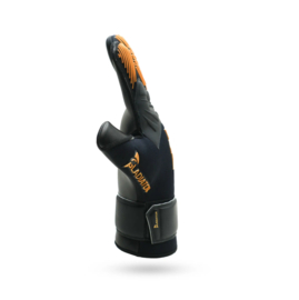 Gladiator Sports Diogo Match