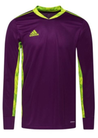 Adidas Adipro20 Goalkeeper Jersey Paars / Groen