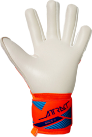 Reusch Attrakt Gold X NC Junior