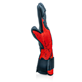 Gladiator Sports Maso