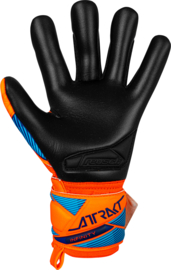 Reusch Attrakt Infinity Evolution NC Junior