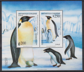 Chili Koning pinguïn blok