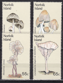Norfolk islands