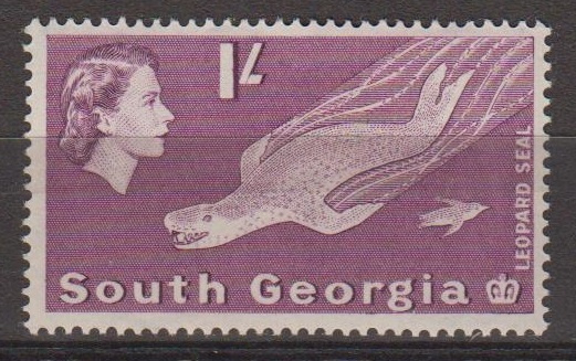 South Georgie