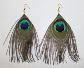 Lightweight Hippy Chick Peacock Feather earrings