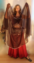 Bellydance veil rectangle DARK BROWN chiffon SILVER rimmed - Voile chiffon MARRON, bord ARGENTÉ + bandeau de tête couleur AUBERGINE