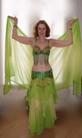 2-piece : BRIGHT GREEN skirt + rectangle veil set gradient chiffon ombré