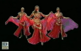 Buikdans DVD  - The best of Middle Eastern Bellydance you ever seen 3 in 1