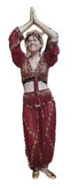​Sparkling 2-piece 1001 Night Harem outfit, Indian princess style: WINERED / BURGUNDY tie top + harempants - one size fits M, L, XL
