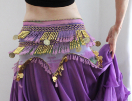 ​Posh chiffon beaded and coins decorated hipbelt for bellydancing, LG18