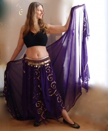 M L XL XXL - 2-piece Gypsy set PURPLE GOLD : skirt + veil chiffon, silver sequins embroidered