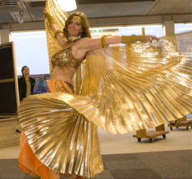Isiswings effen GOUD glanzend lamé / lamee - Wings of Isis GOLD lamé fabric - Ailes d'Isis opaques dorées