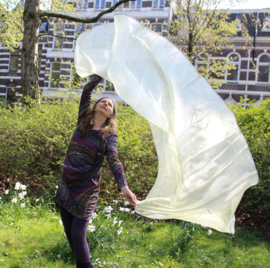 Sluier halfrond ZACHT GEEL organza afgeboord met ZILVEREN band