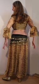 2-pce bellydance tiger costume : Tie top + harempants - Ensemble danse orientale 2-pièce tigre : top + saroual