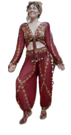 ​Sparkling 2-piece 1001 Night Harem outfit, Indian princess style: WINERED / BURGUNDY tie top + harempants - one size fits M, L, XL
