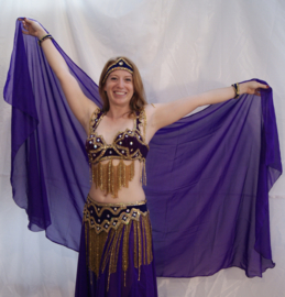 Crystal16 - 5-piece bellydance costume on PURPLE velvet, Swarovsky crystals, golden beads + sequins decorated