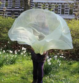 Halfcircle veil SOFT YELLOW organza, SILVER band rimmed