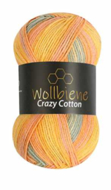Wollbiene Crazy Cotton Batik 5030