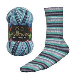 Wollbiene Socks Color 51