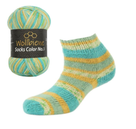 Wollbiene Socks Color 46