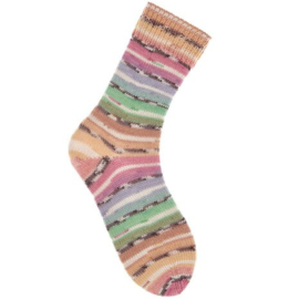 Socks Bamboo Rainbow Earty 057