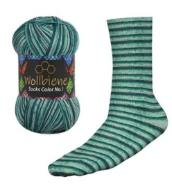 Wollbiene Socks Color 54