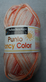 Schachemayer Punto Color Fancy