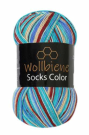 Wollbiene Socks Color 25