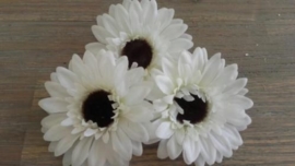 GERBERA WIT Set van 2