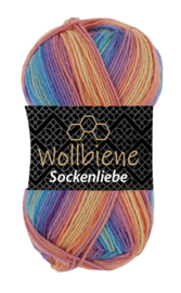 Sockenliebe Regenboog Pastel 507