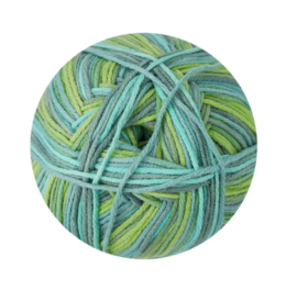 Wollbiene Crazy Cotton Batik 9010