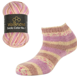 Wollbiene Sokcks Color 41