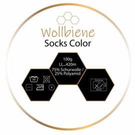 Wollbiene Socks Color 54