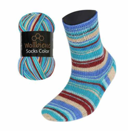 Wollbiene Socks Color 25