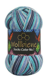 Wollbiene Socks Color 51