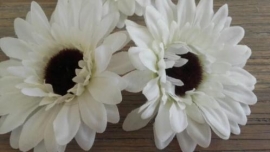 GERBERA WIT Set van 2