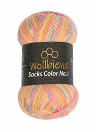 Wollbiene Socks Color 45