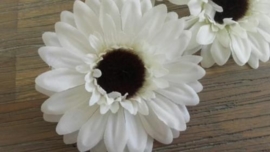 GERBERA WIT Set van 2