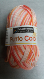 Schachemayer Punto Color 87