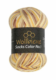 Wollbiene Socks Color 44