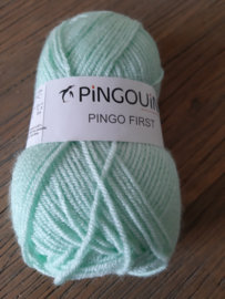 Pingouin Pingo First Mintgroen/Brindille